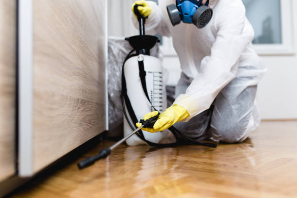 Best Wasp Removal Services  in Jonestown, PA