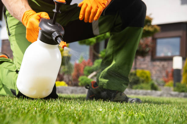 Best Termite Control Services  in Jonestown, PA