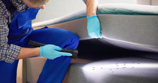 Best Affordable Pest Control Services  in Jonestown, PA