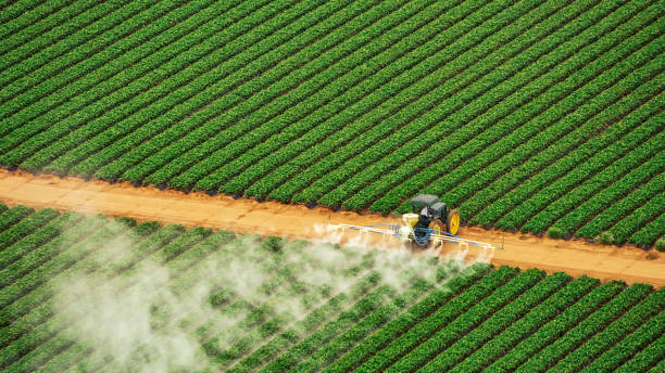 Best Best Pest Control Companies  in Jonestown, PA
